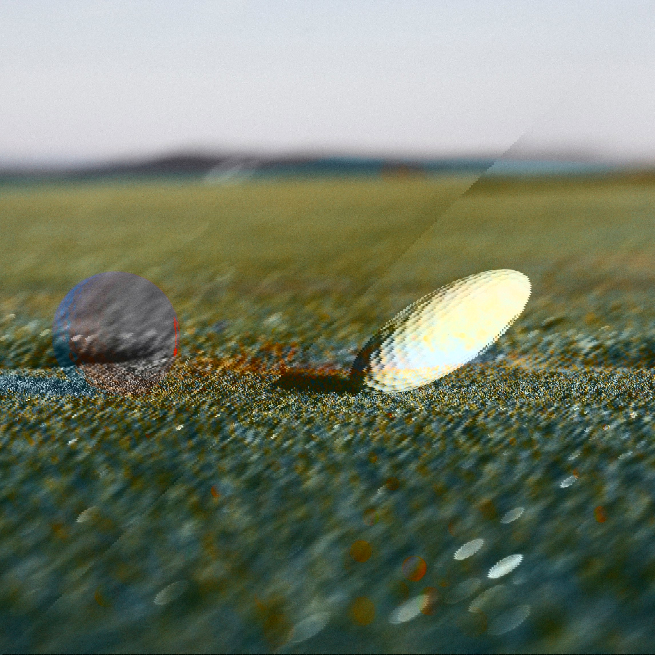 World Golf Hall of Fame introduce Charlie Sifford award diversity in golf